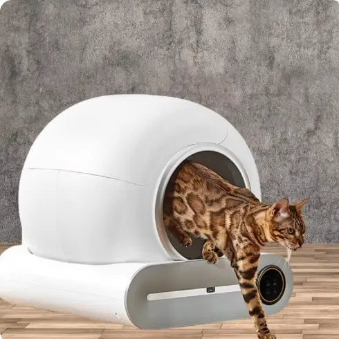 Smart Automatic Cat Litter BoxSmart Automatic Cat Litter Box