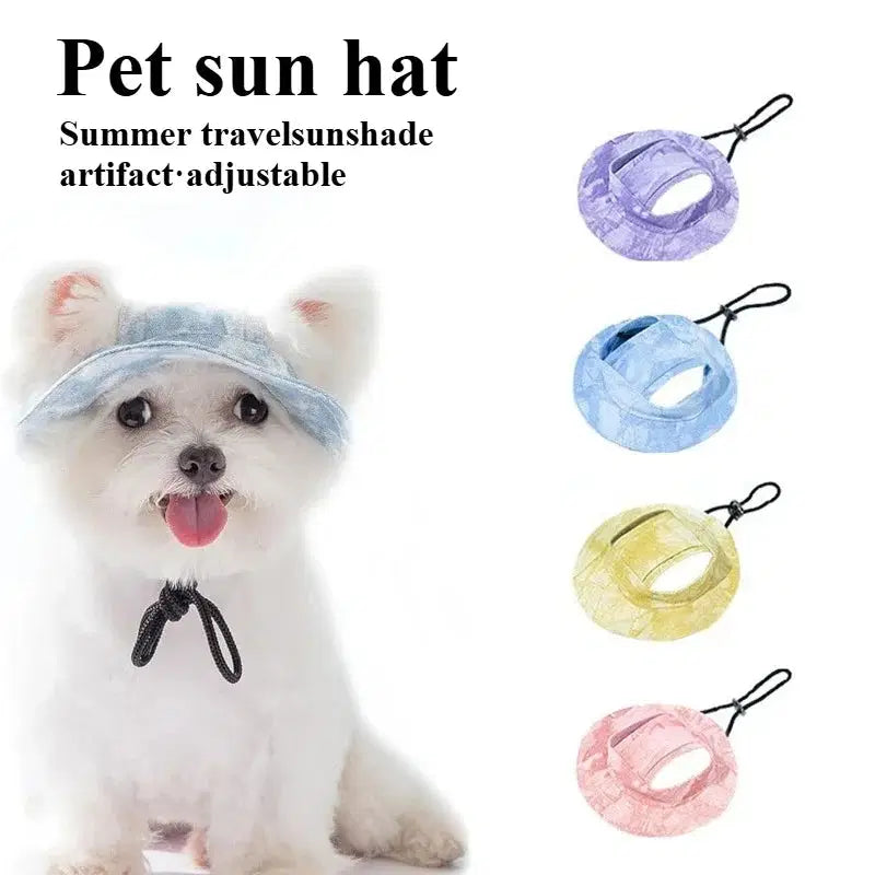 Automatic Pet Feeder with Water FountainAutomatic Pet Feeder