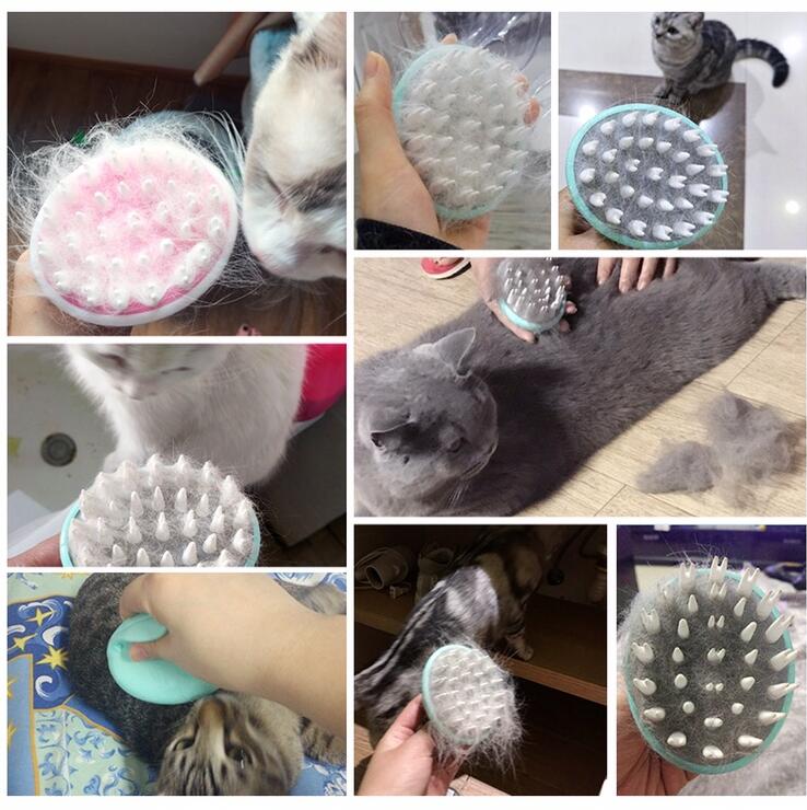 Pet Soft Brush for Grooming and Care