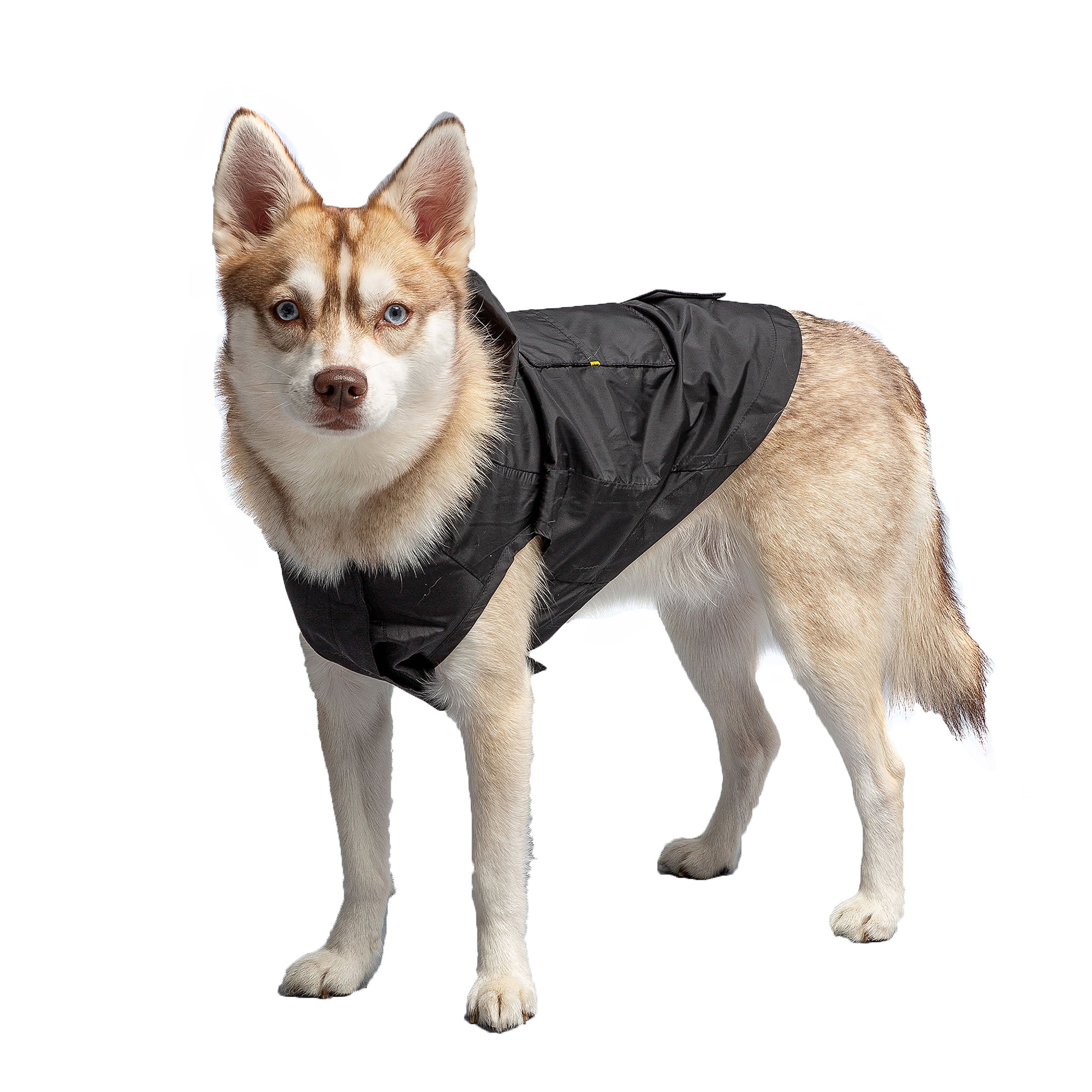 Black Packable Dog RaincoatPackable Dog Raincoat