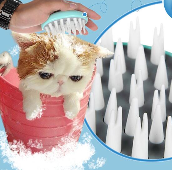 Pet Soft Brush for Grooming and Care