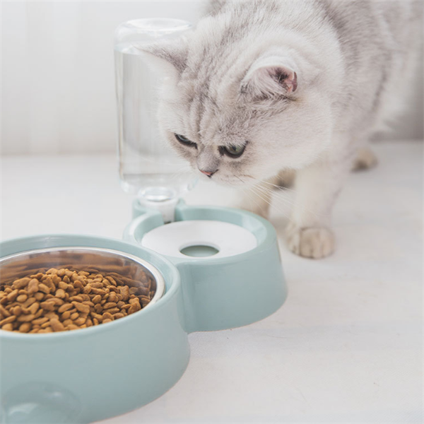 Pet Feeder and Water Dispenser for Dogs and Cats