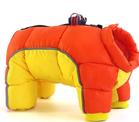 Pet Dog Winter ClothesPet Dog Winter Clothes