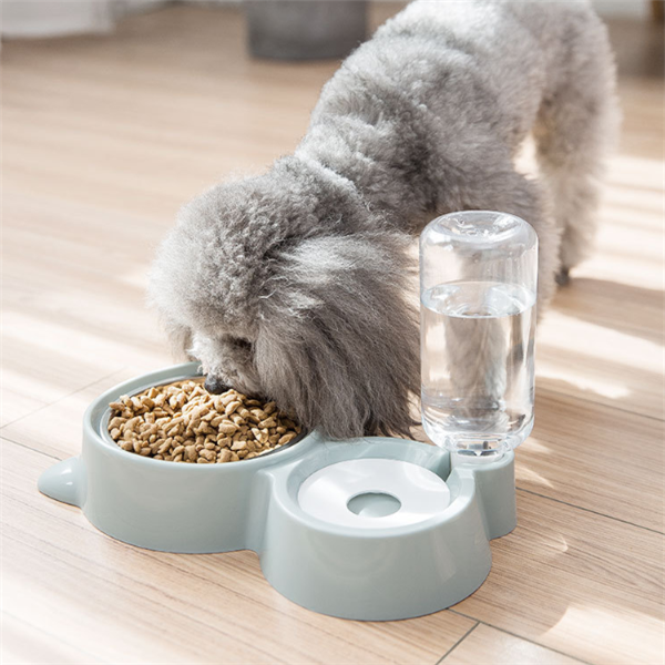 Pet Feeder and Water Dispenser for Dogs and Cats